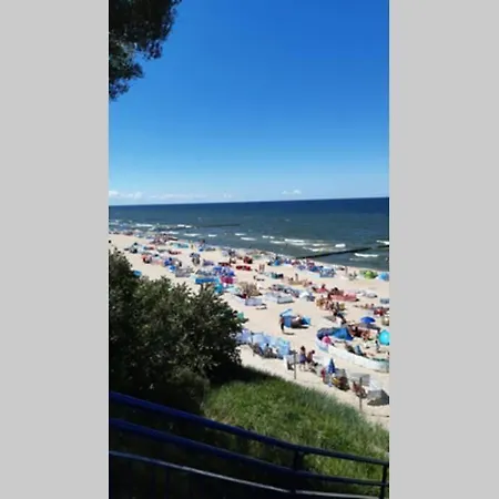 Mala Magia レバル